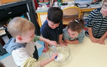 IMG_20251016_091113 IMG_20251016_091113