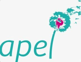 Capture d’écran 2026-03-15 140613